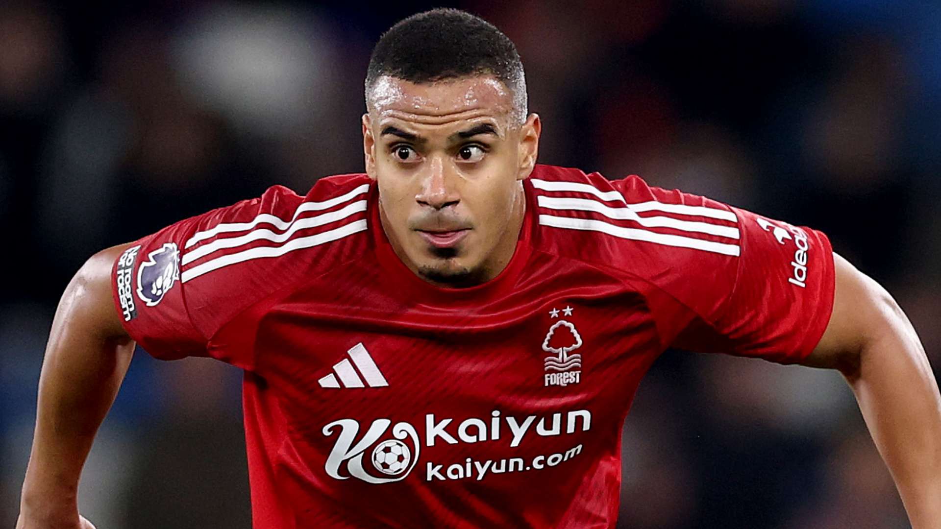 成为了这场 成为了这场