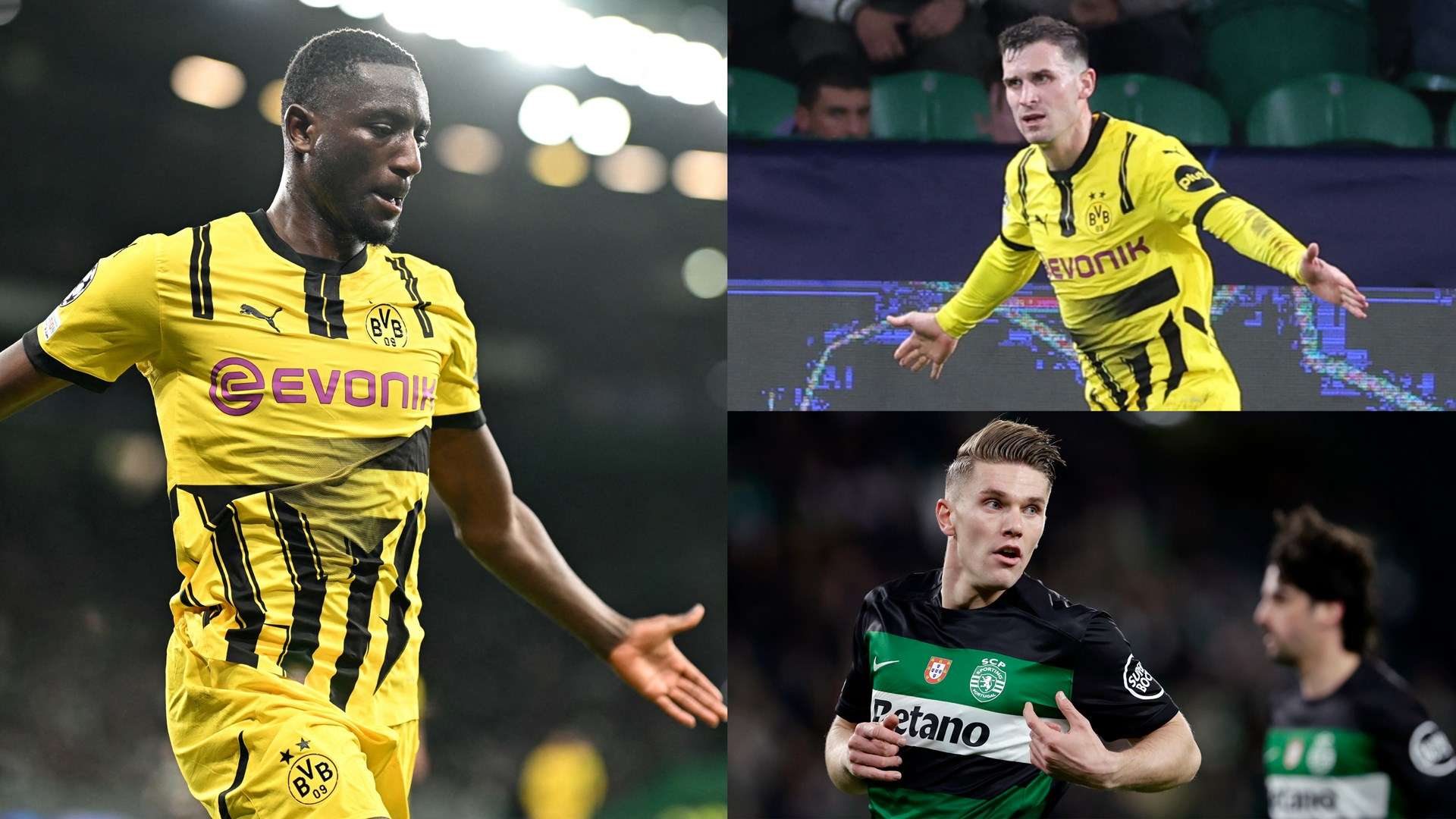 不仅仅因为 不仅仅因为